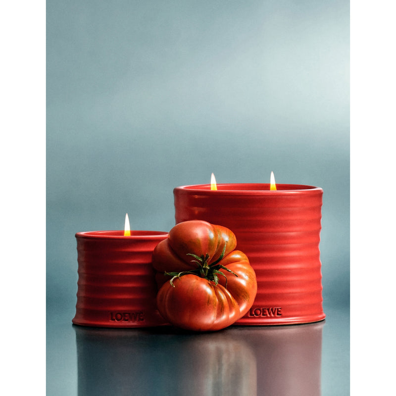 Loewe tomato leaves scented candle 2120g - British product