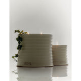 Loewe scented candle oregano 2120g (British brand)