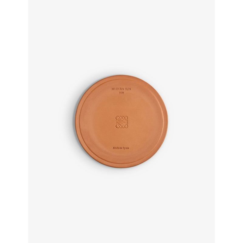 Loewe Ivy scented candle 2120g - British product