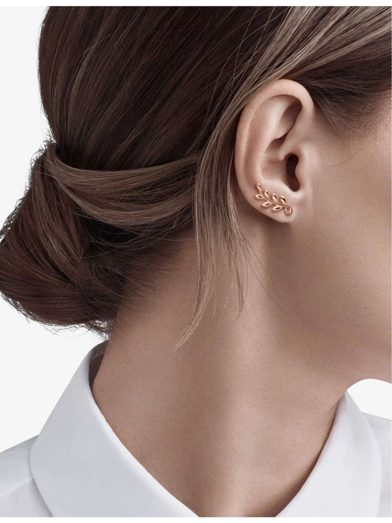 Tiffany & Co olive leaf earrings 18ct rose gold, UK version