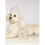 OUAI Fur Bebe pet shampoo for pets 474ml, UK version