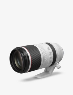 Canon RF 100-500mm F4.5-7.1 L IS USM telephoto zoom lens (British brand)