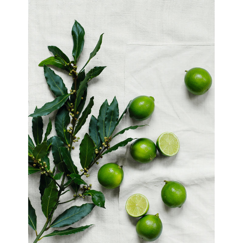The White Company Lime and Bay hand care set - British product