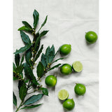 The White Company Lime and Bay hand care set - British product