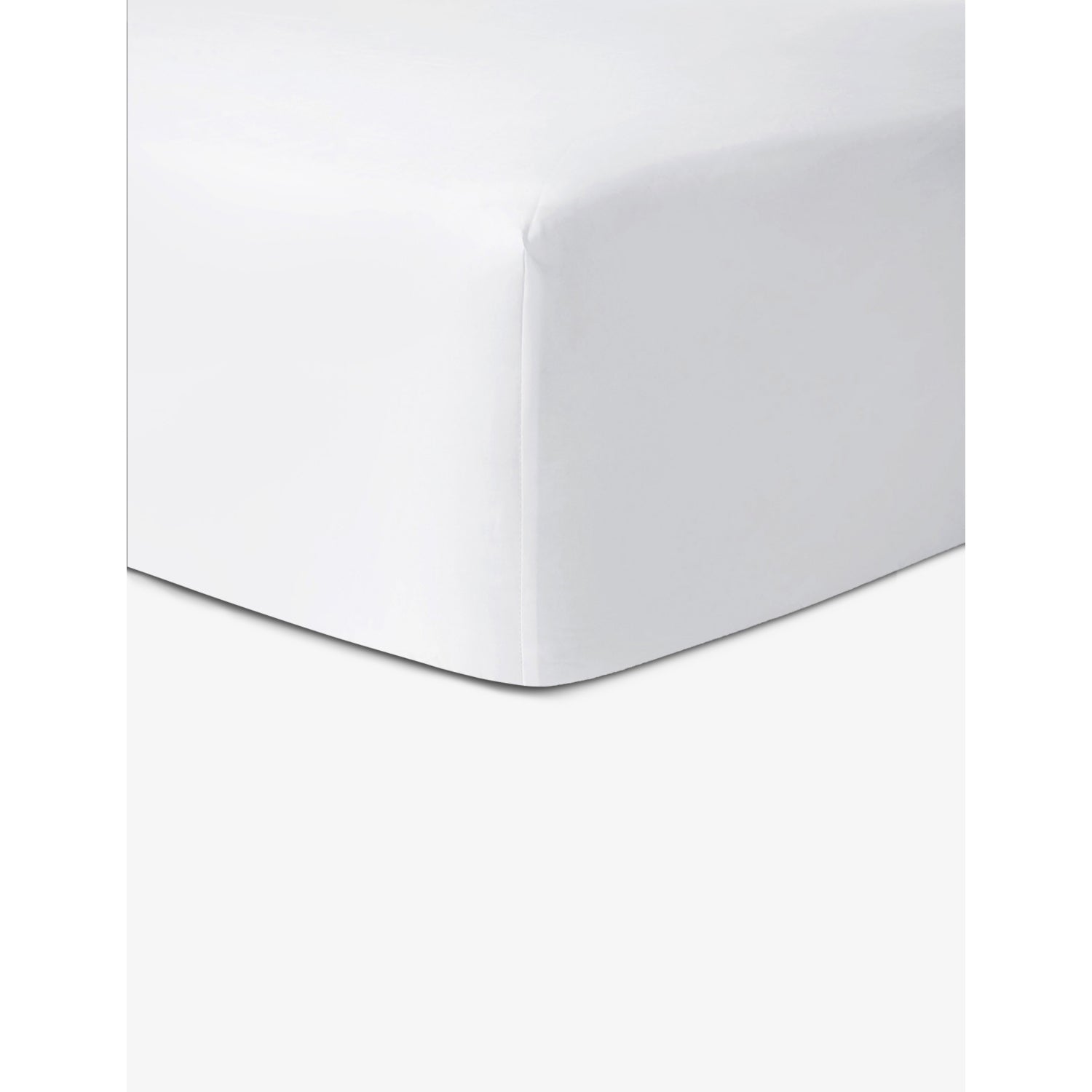 Roma cotton fitted sheet - Single