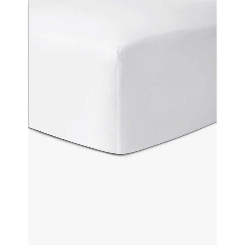 Roma cotton fitted sheet - Single
