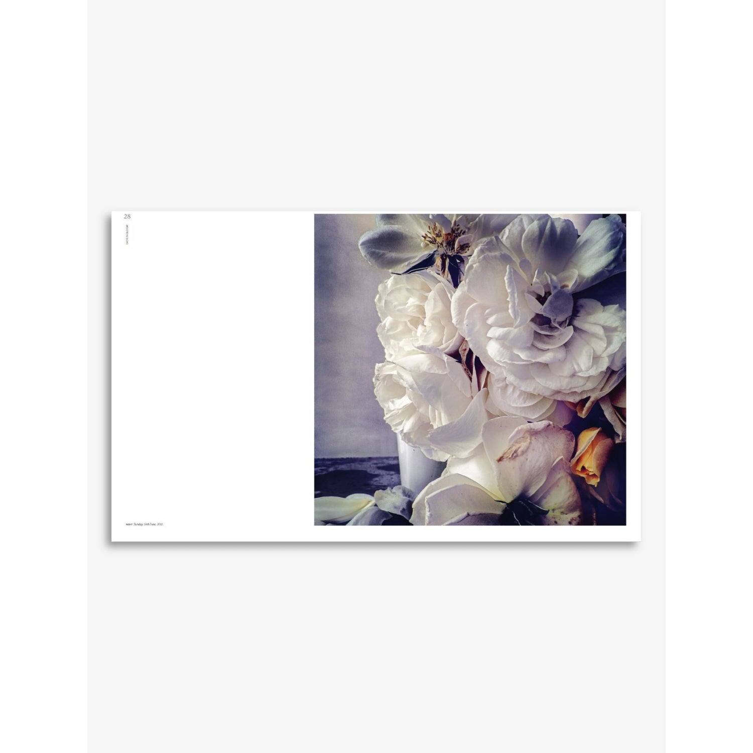 Dior in Bloom hardcover book, 302 pages, UK version