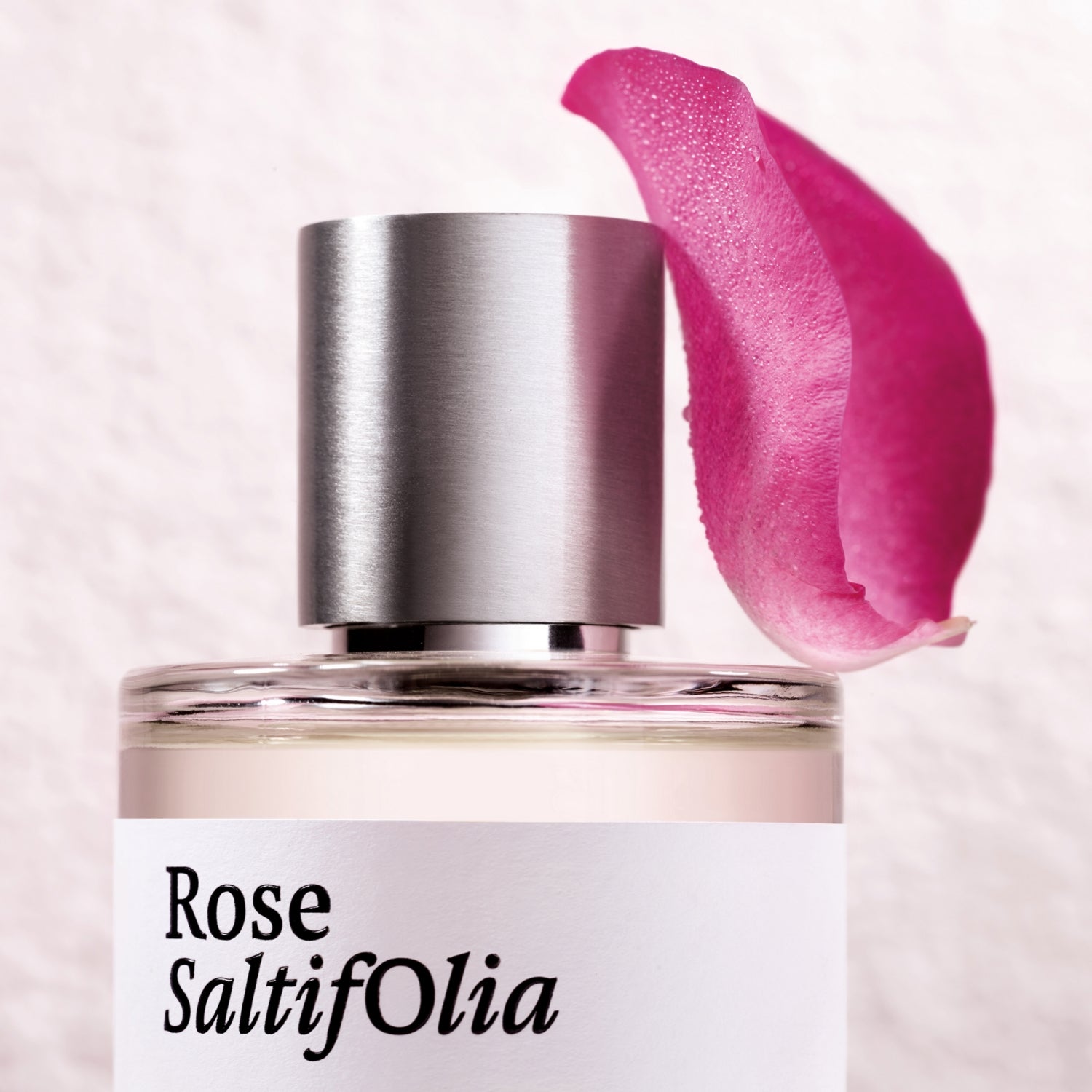 Maison Crivelli Rose Saltifolia eau de parfum, imported from the UK