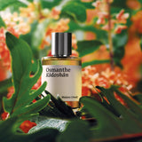 Maison Crivelli Osmanthe Kodoshan eau de parfum - British product