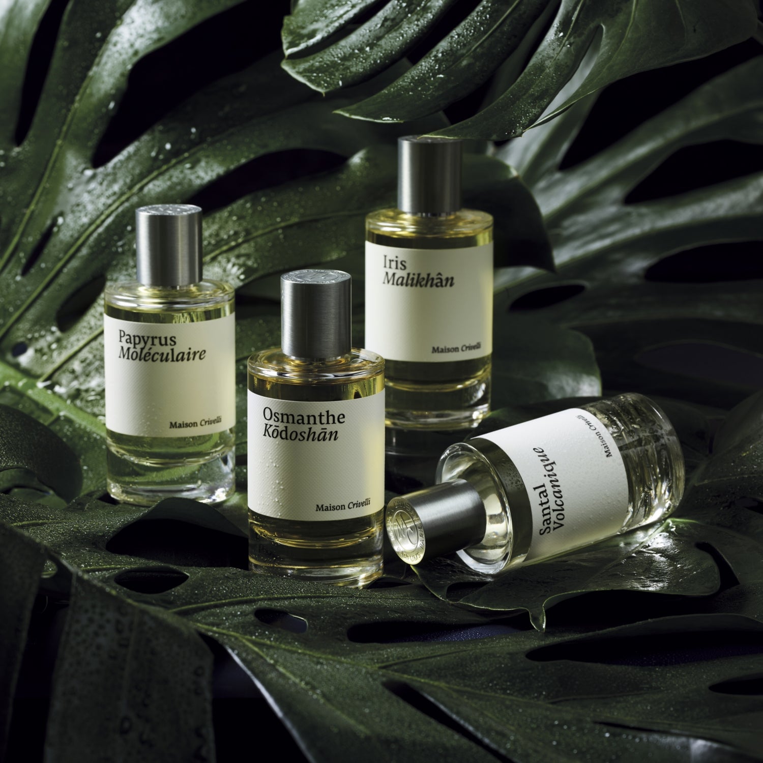 Maison Crivelli Osmanthe Kodoshan eau de parfum - British product