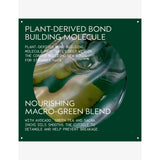 Aveda Botanical Repair Light hair masque 350ml (British brand)