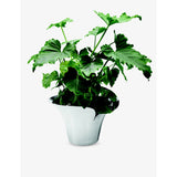 Georg Jensen flower pot polished stainless steel 22.3cm (British brand)