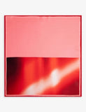 Dries van Noten Graphic-Print Silk Scarf