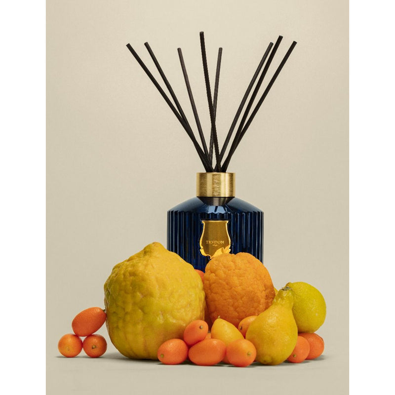 Trudon Belles Matières Reggio diffuser 350ml, UK version