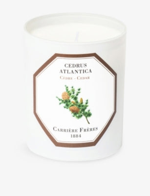 Carrière Frères Cedrus Atlantica scented candle 185g, imported from the UK