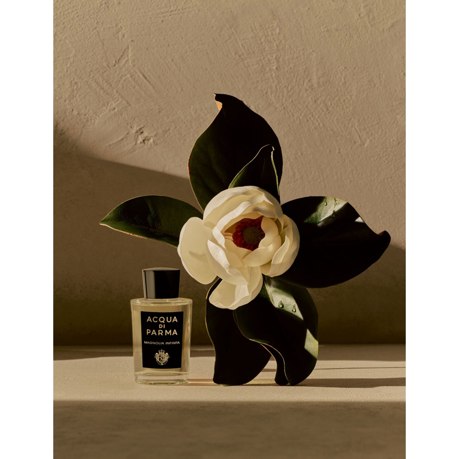 Acqua di Parma Magnolia Infinita eau de parfum, UK version
