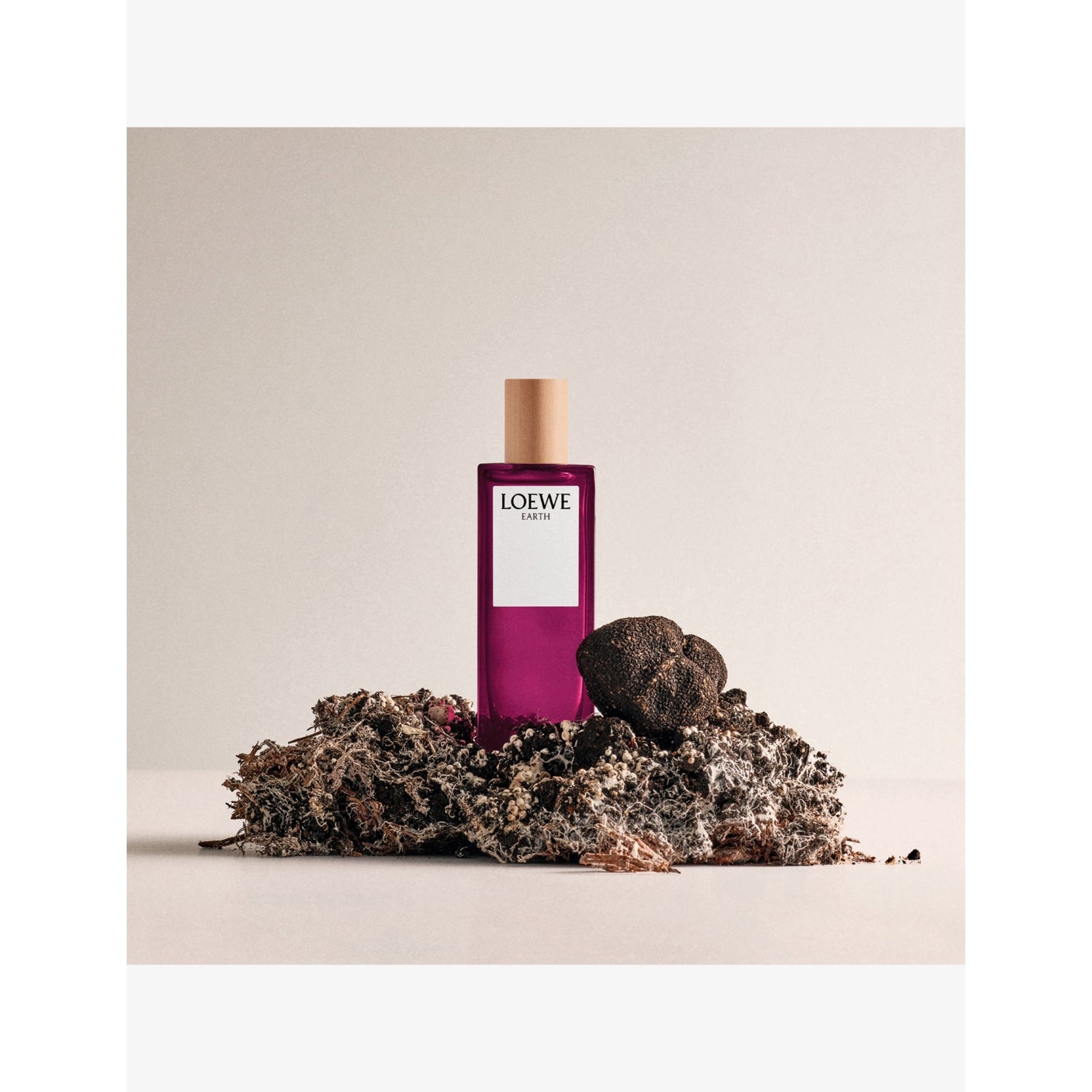 Loewe Earth eau de parfum 50ml, imported from the UK