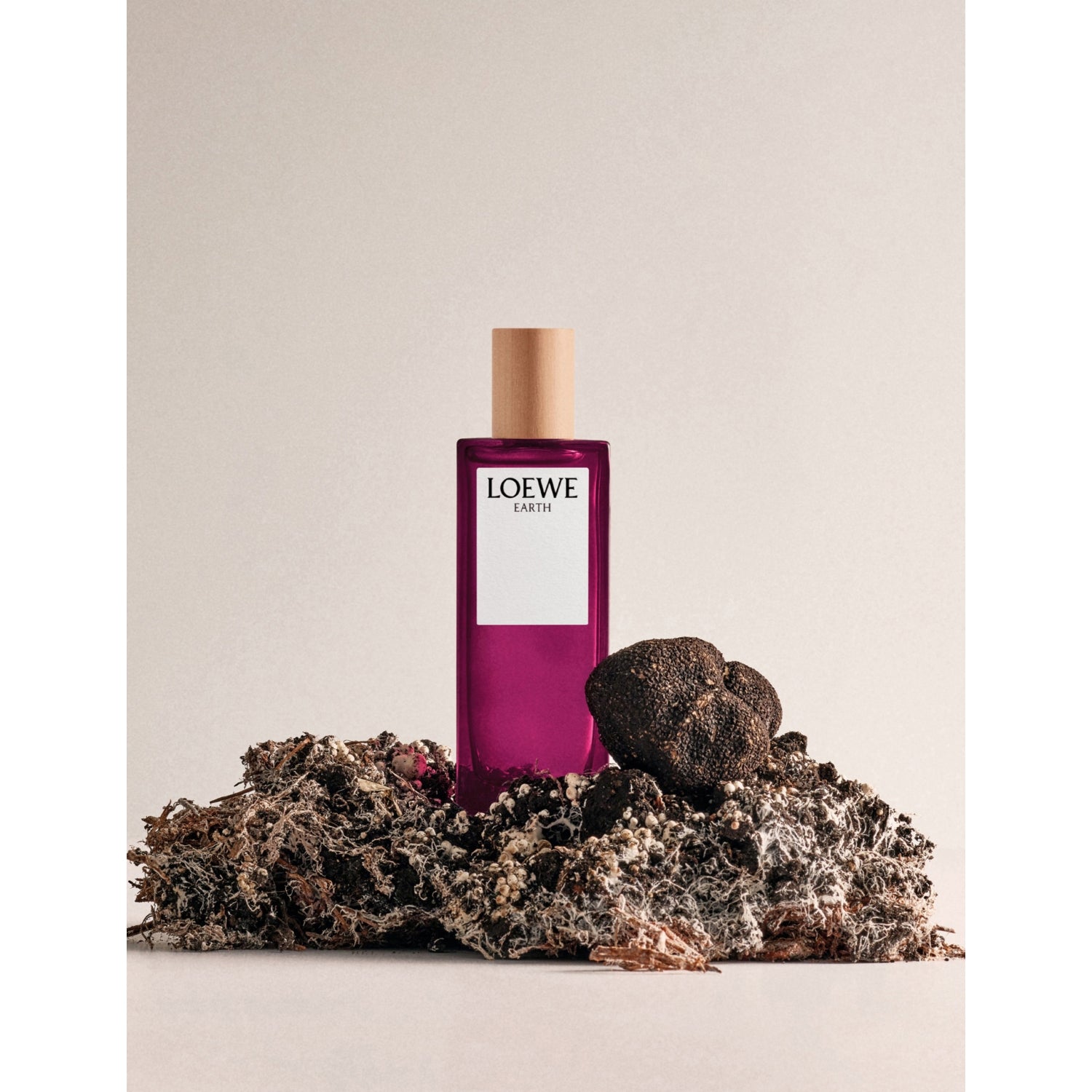 Loewe Earth Eau de Parfum 100ml, imported from the UK