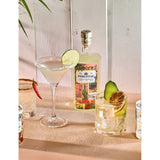 Pimentae Tommy's chilli margarita cocktail 500ml, UK version