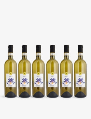Selfridges Selection Gavi DOCG wine case of six 750ml bottles - British product