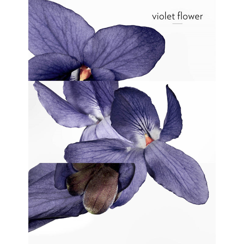 Hermès Violette Volynka eau de toilette 100ml, imported from the UK