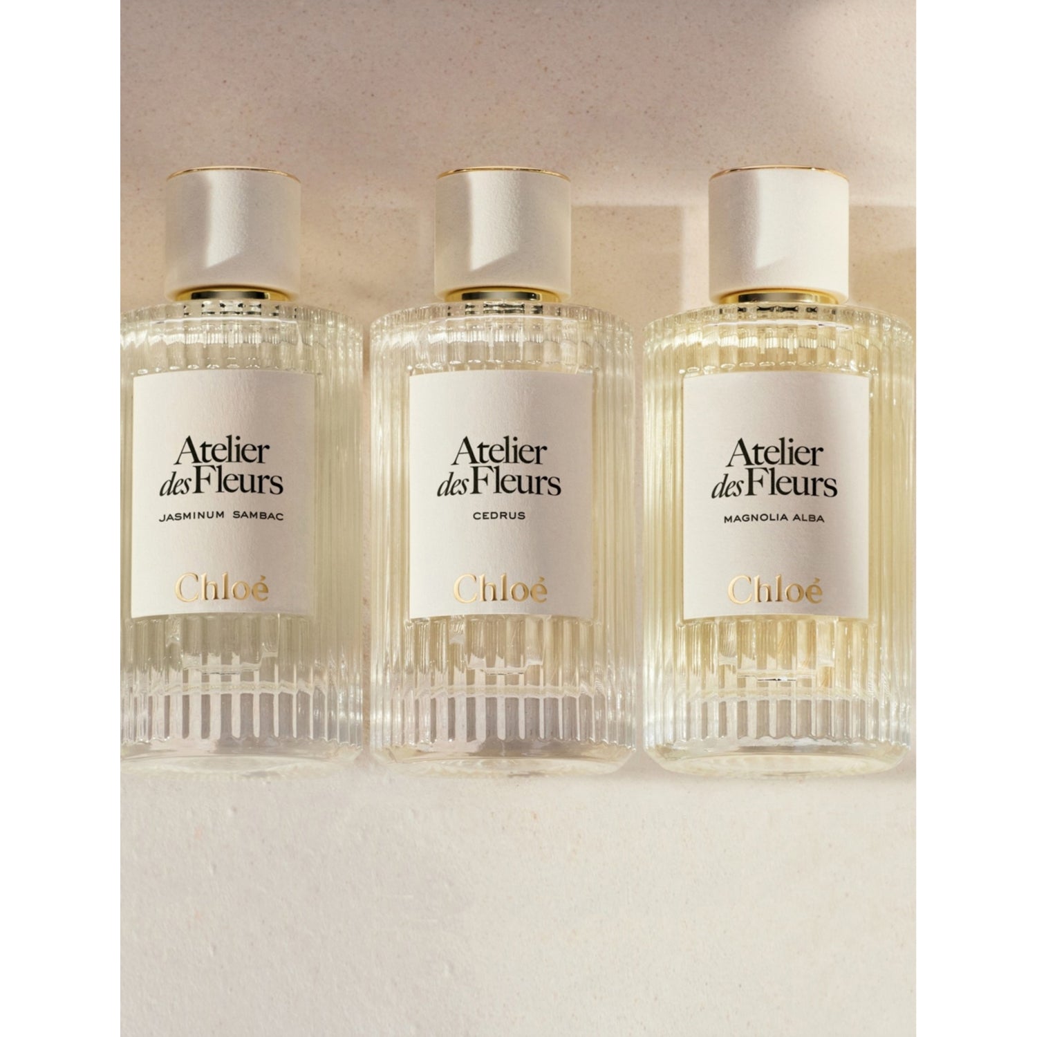 Chloé Cedrus eau de parfum (British brand)