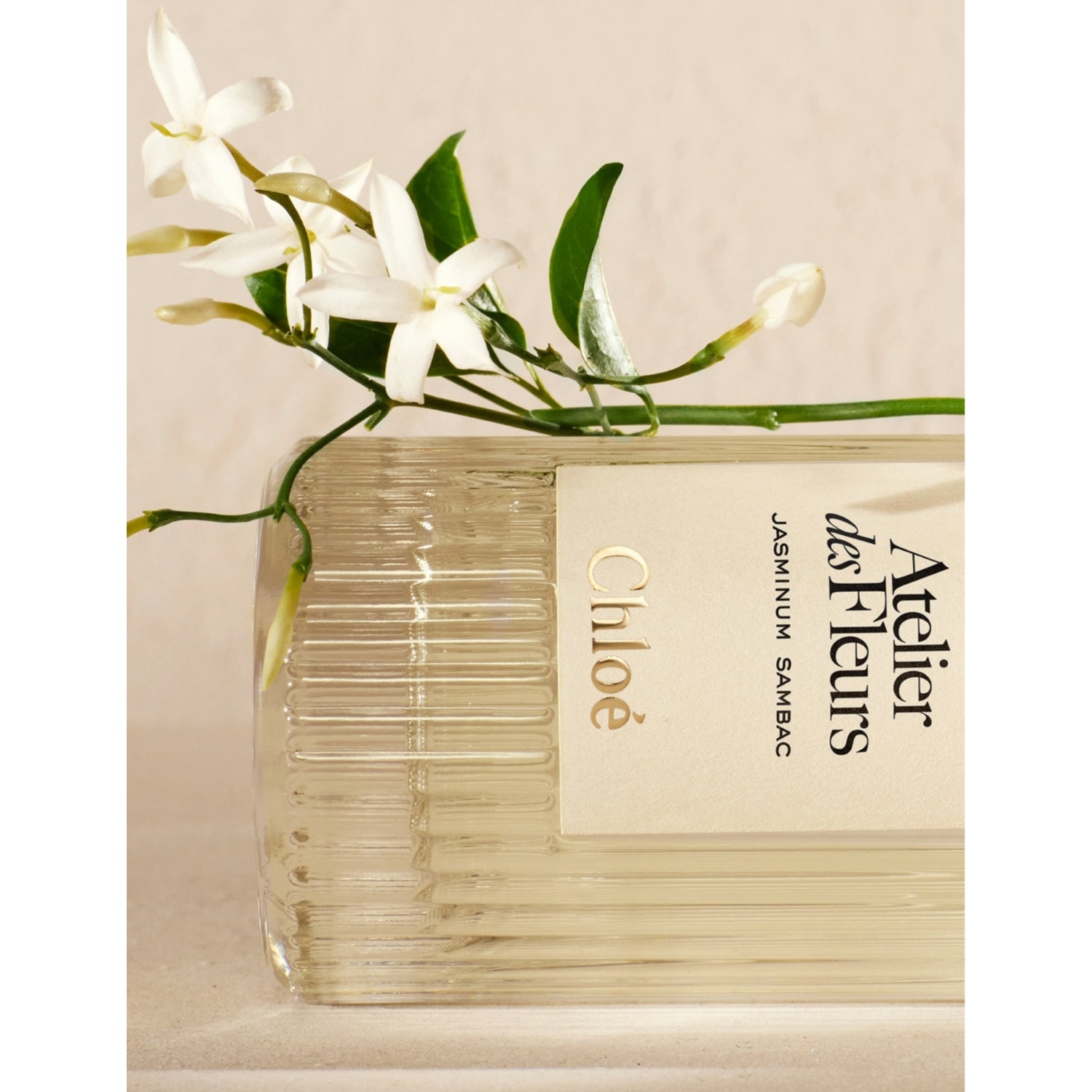 Chloé Jasminum Sambac eau de parfum - British product