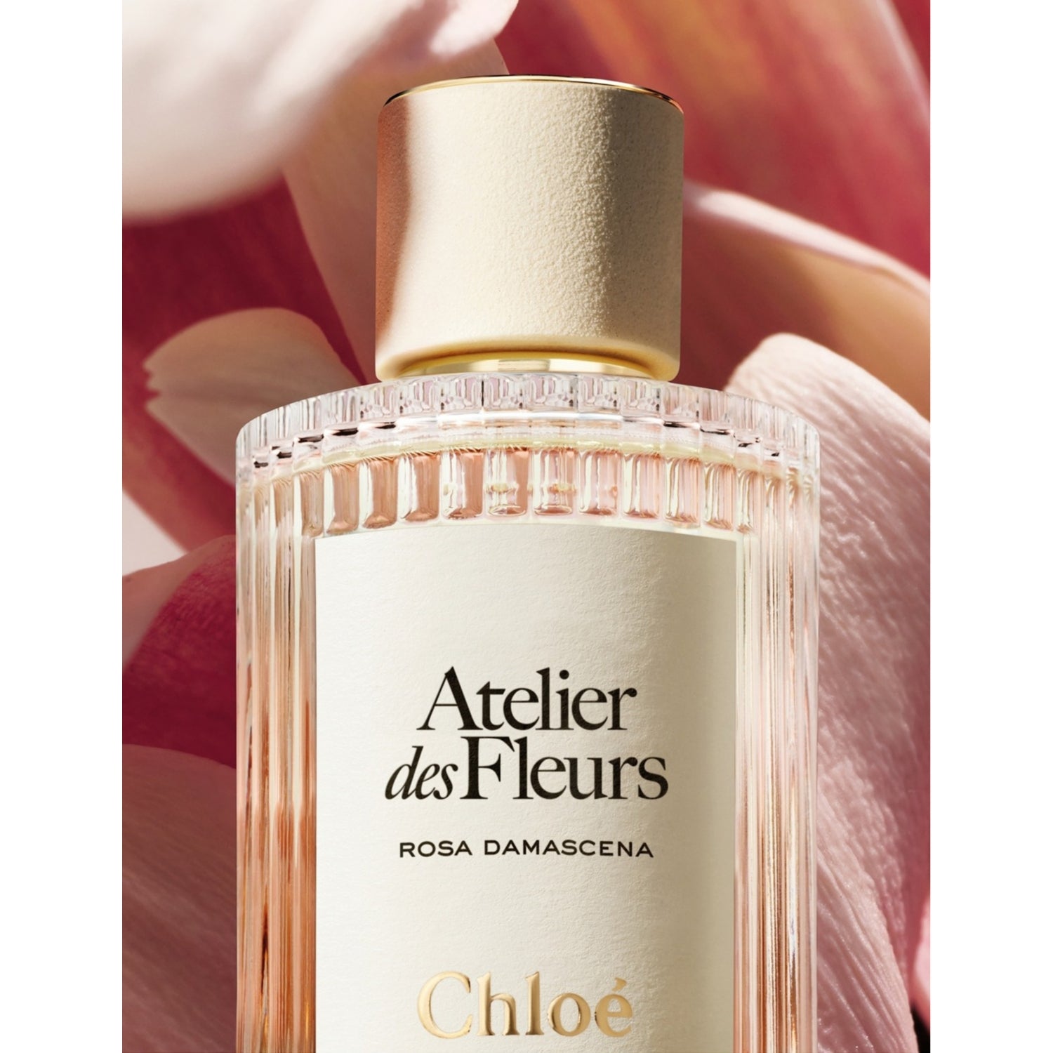 Chloé Rosa Damascena eau de parfum 50ml, imported from the UK