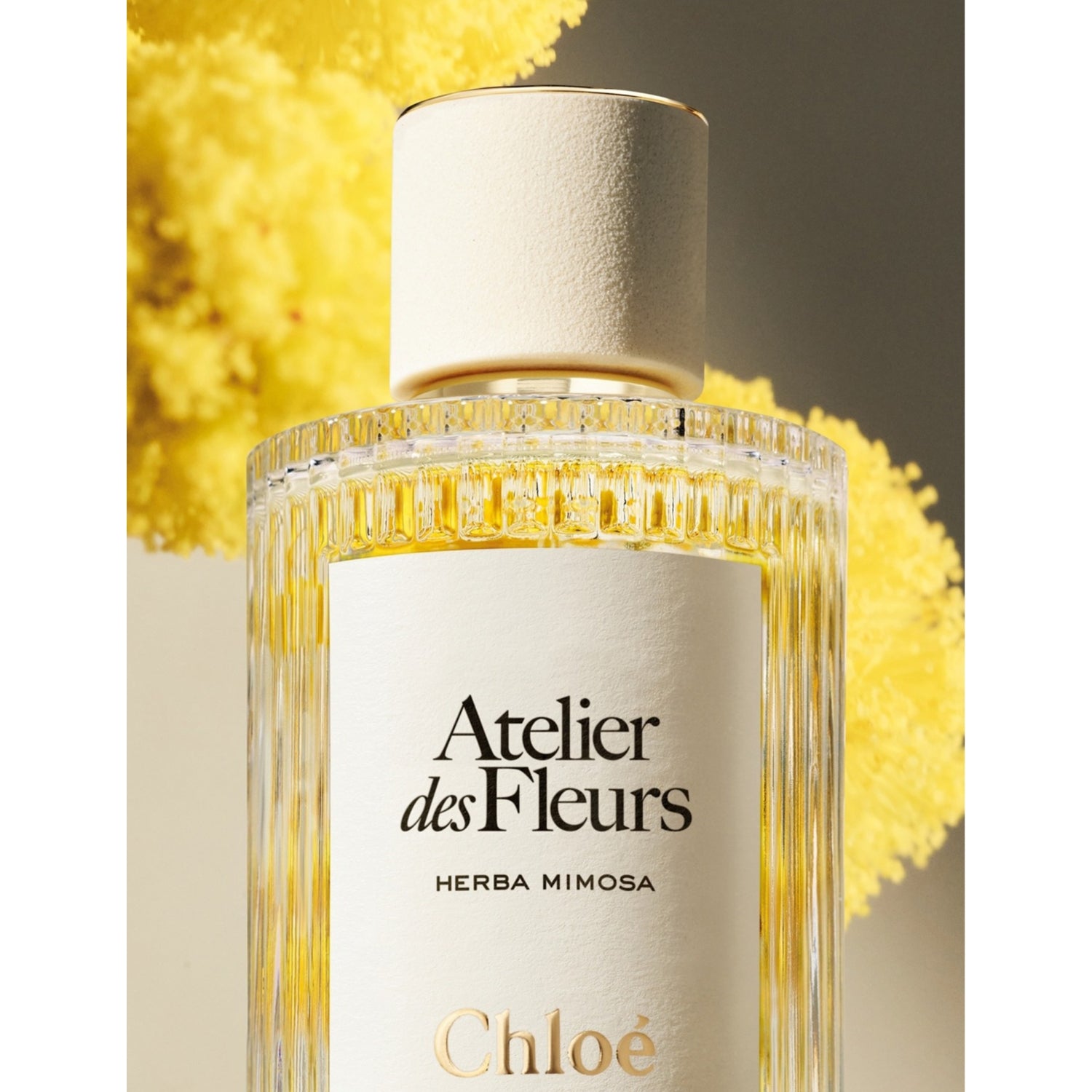 Chloé Herba Mimosa eau de parfum, imported from the UK