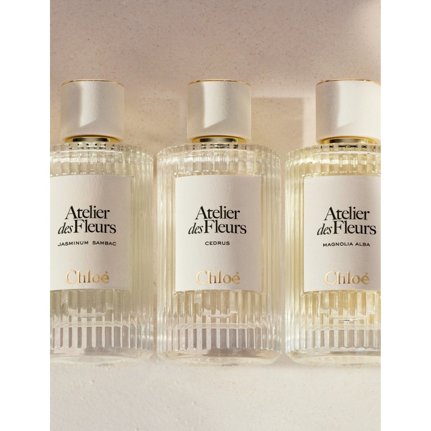 Chloé Herba Mimosa eau de parfum, imported from the UK
