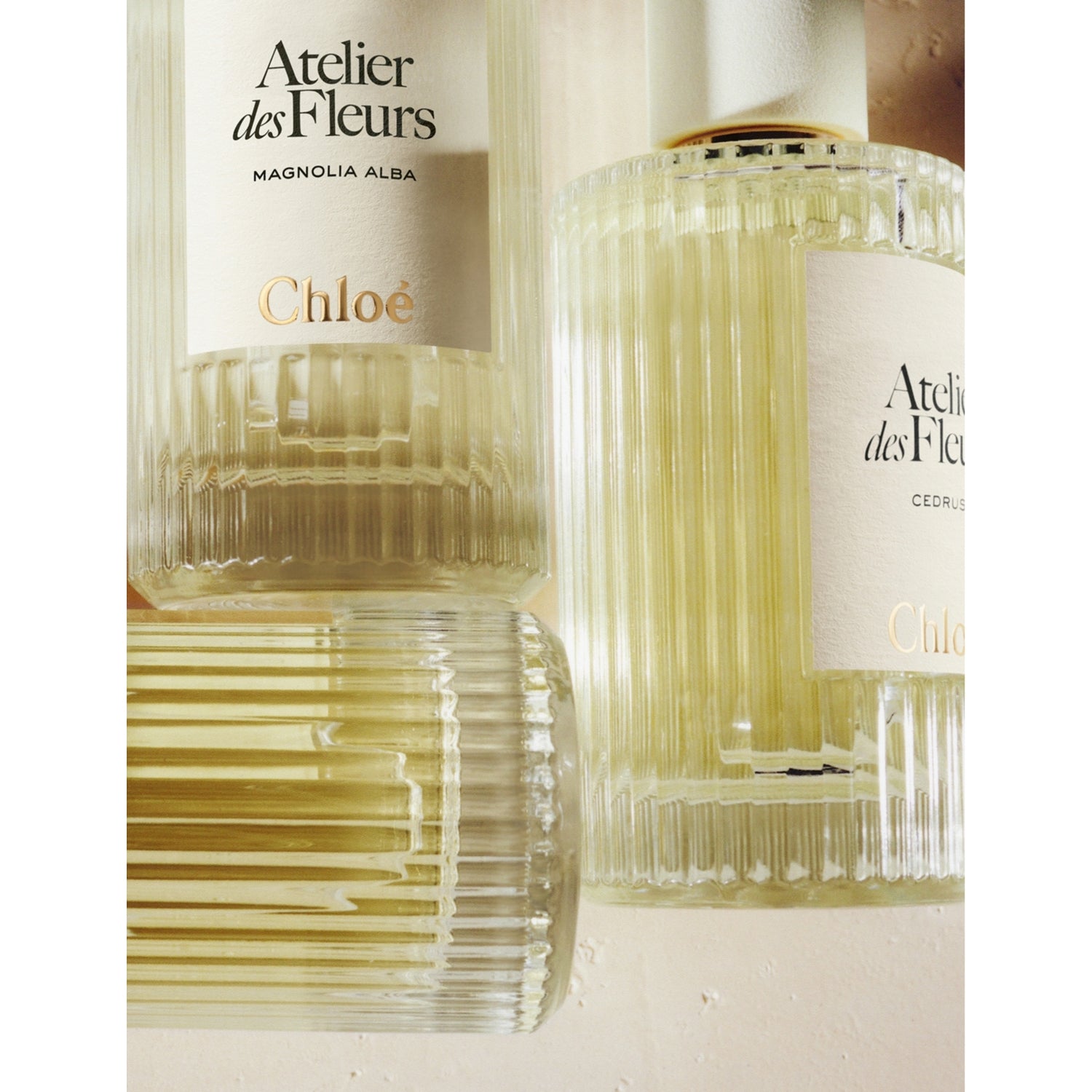 Chloé eau de parfum Hibiscus Abelmoschus, UK version