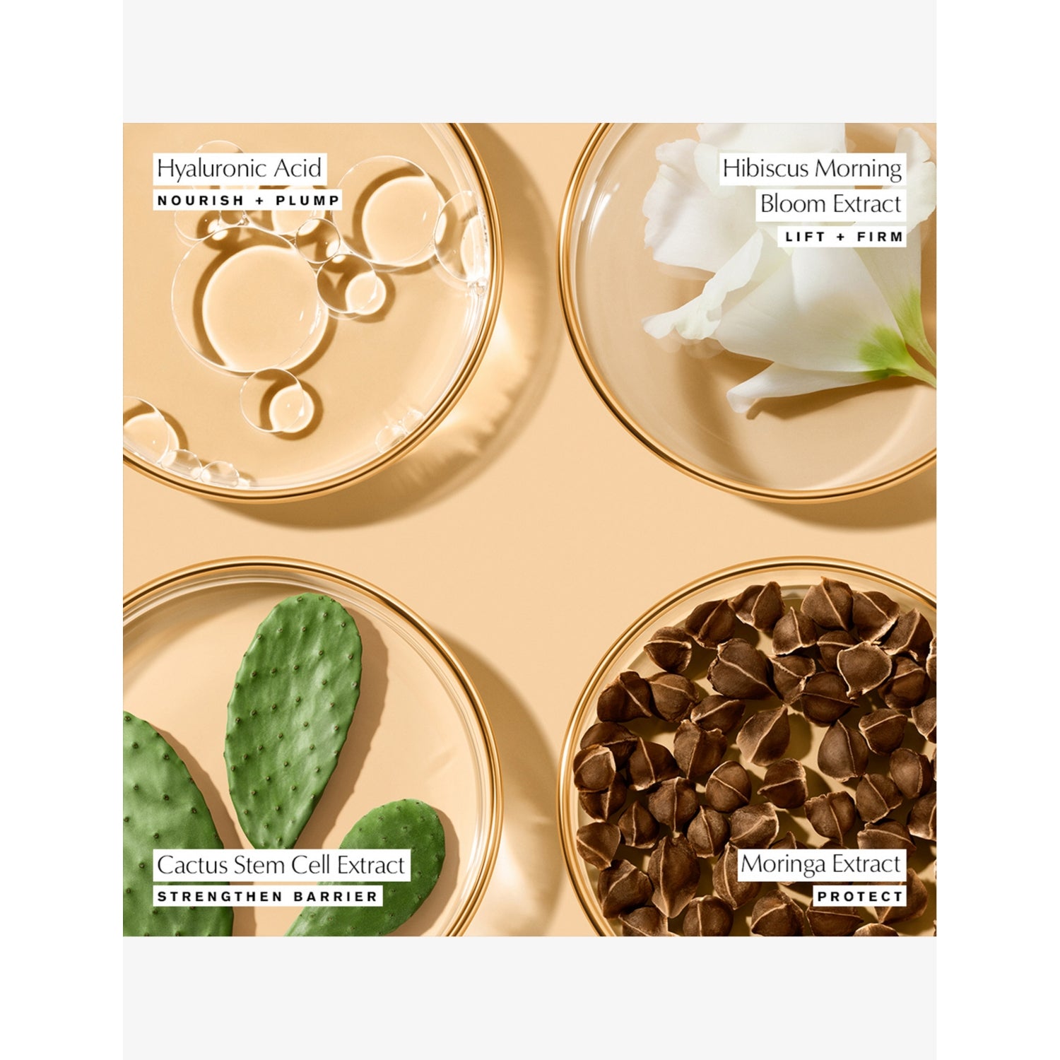 Estée Lauder Youth Power cream refill 50ml, imported from the UK