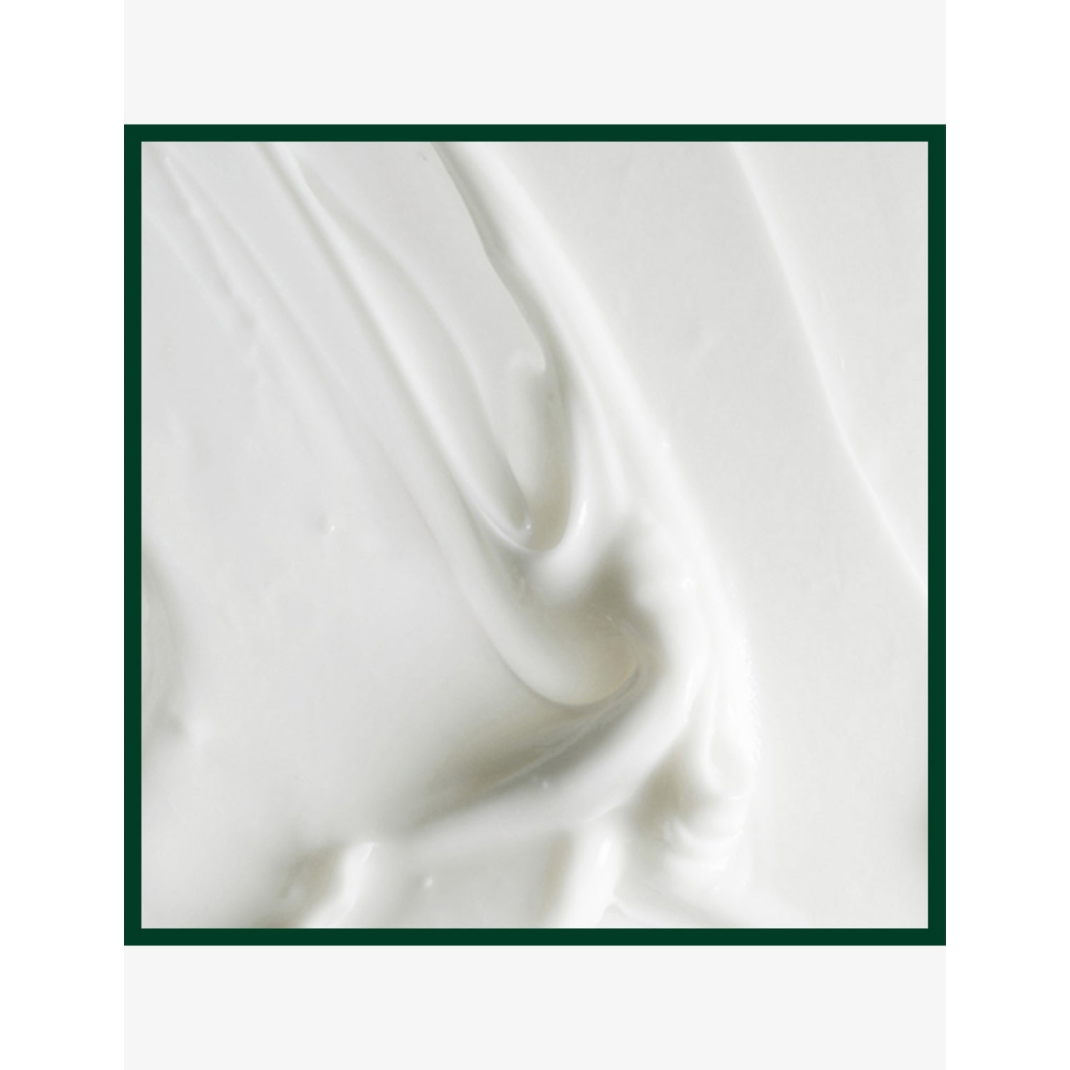 Aveda Scalp Solutions replenishing conditioner (British brand)