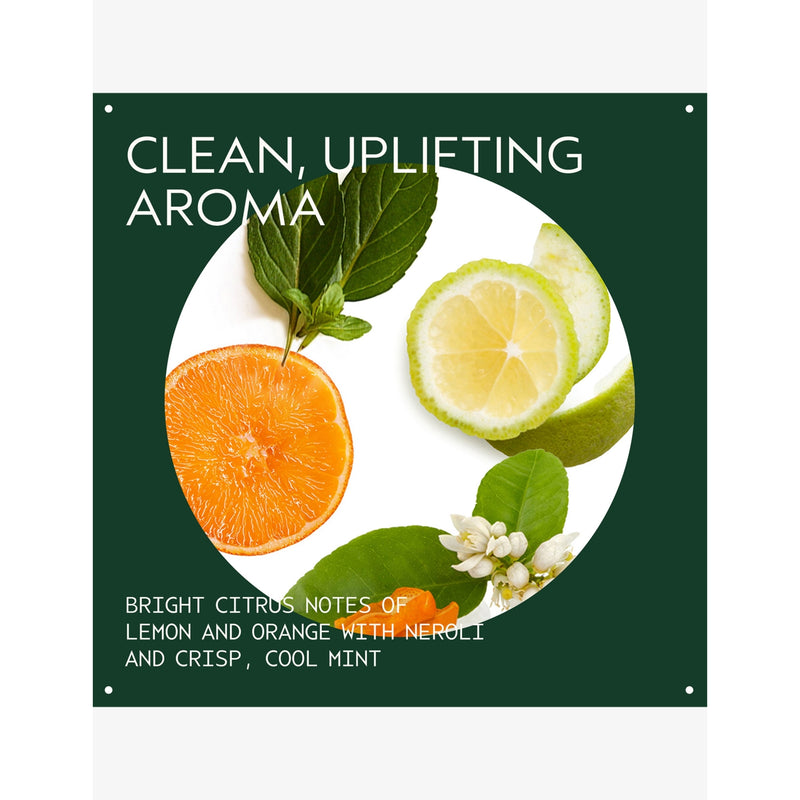 Aveda Scalp Solutions replenishing conditioner (British brand)