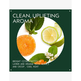 Aveda Scalp Solutions replenishing conditioner (British brand)