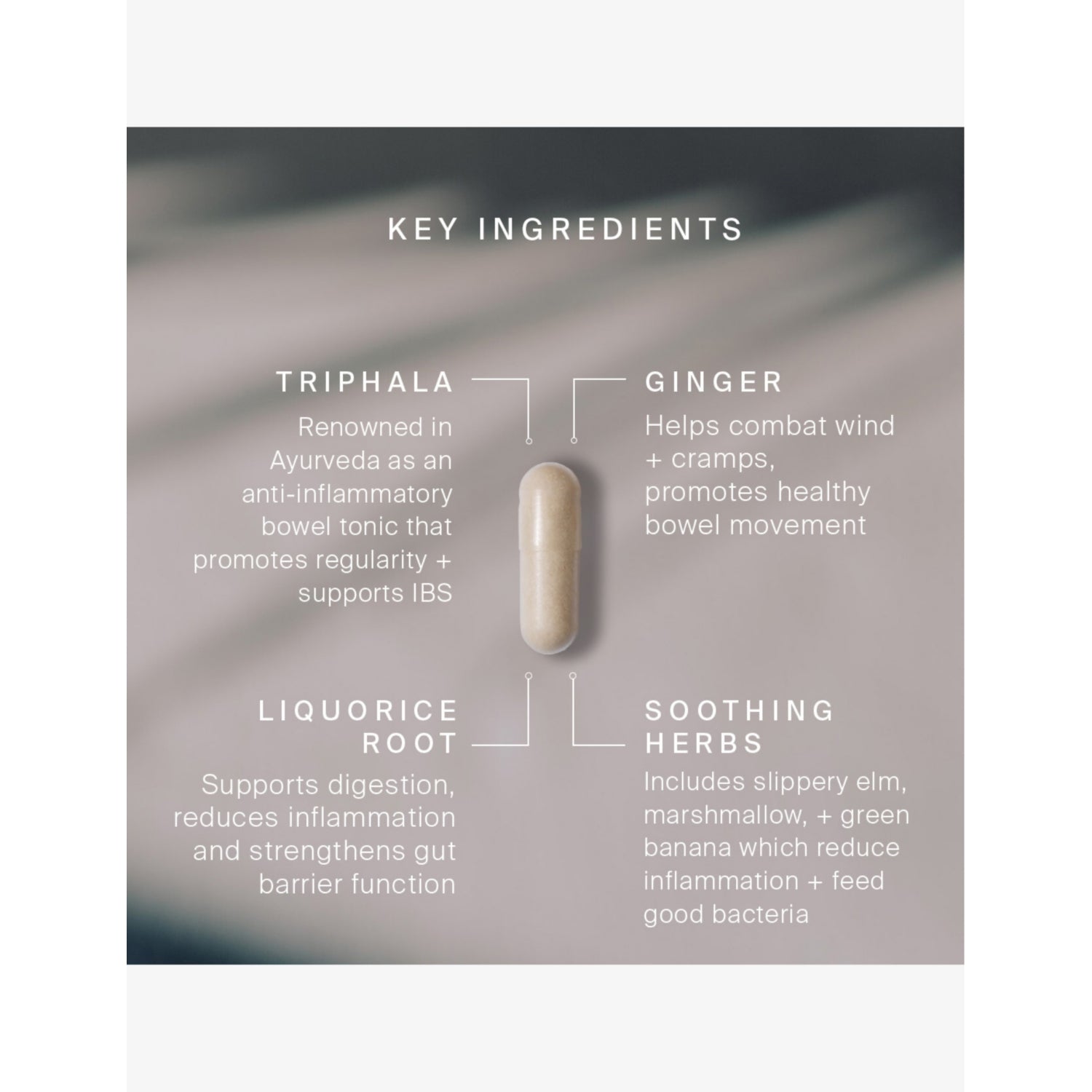 Artah G.I. Fix supplement 60 capsules (British brand)