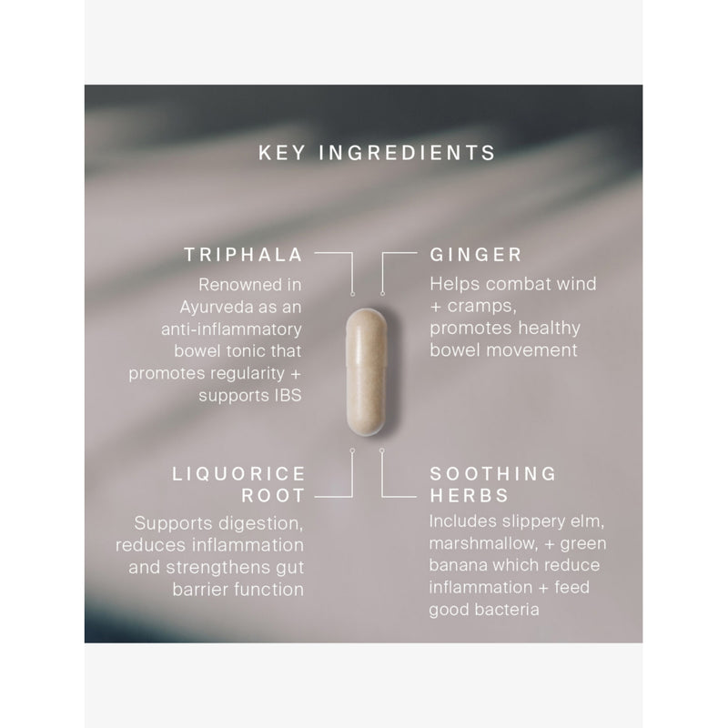 Artah G.I. Fix supplement 60 capsules (British brand)