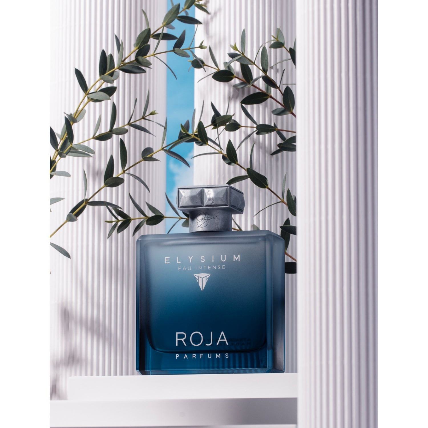 Roja Parfums Elysium Eau Intense 100ml eau de parfum, UK version