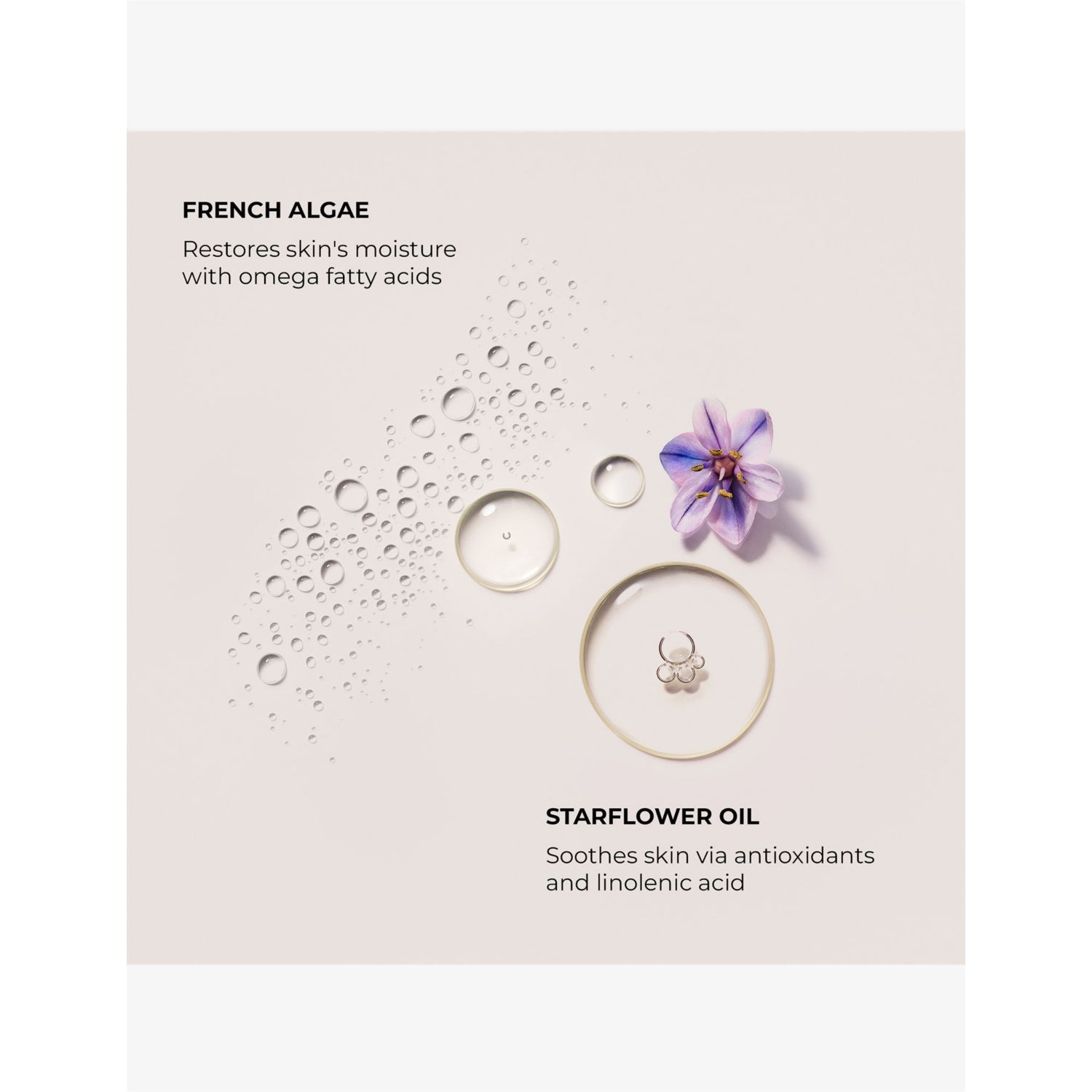 Laura Mercier Almond Coconut body cream 200ml, imported from the UK