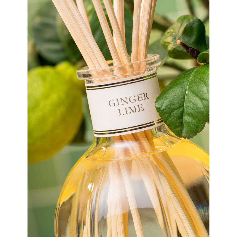 Dr Vranjes reed diffuser Ginger Lime 500ml, UK version