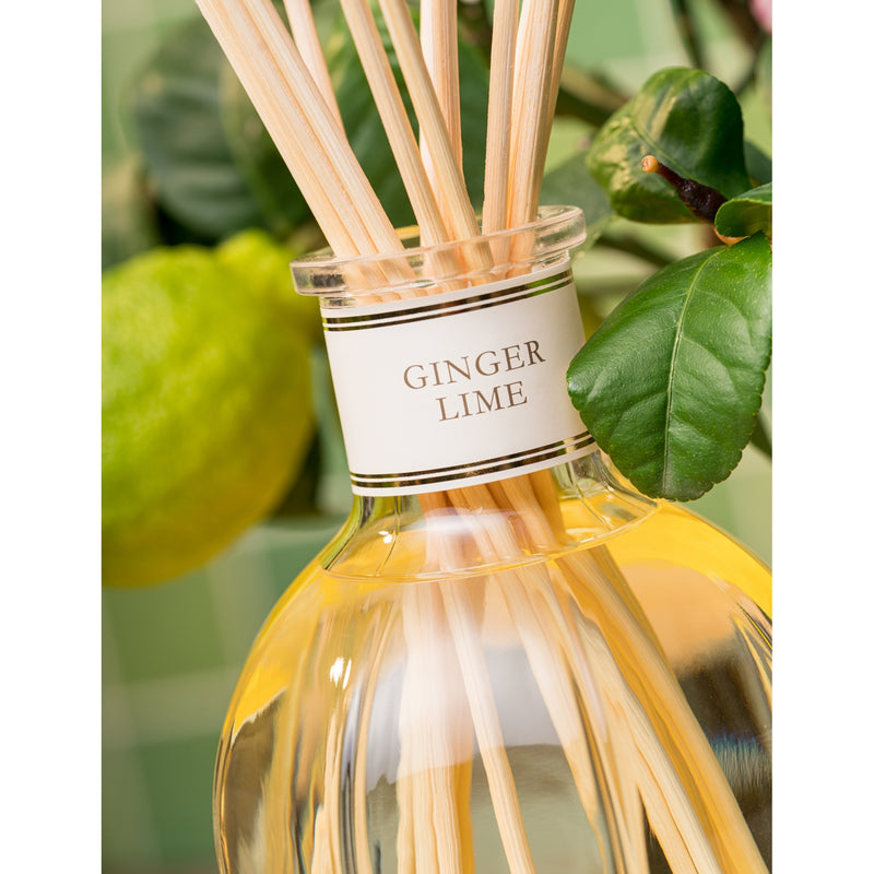 Dr Vranjes Ginger Lime diffuser set 1250ml, imported from the UK
