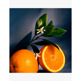 Loewe Orange Blossom small scented candle 170g, UK version
