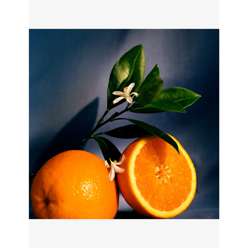 Loewe orange blossom scented candle 610g, UK version