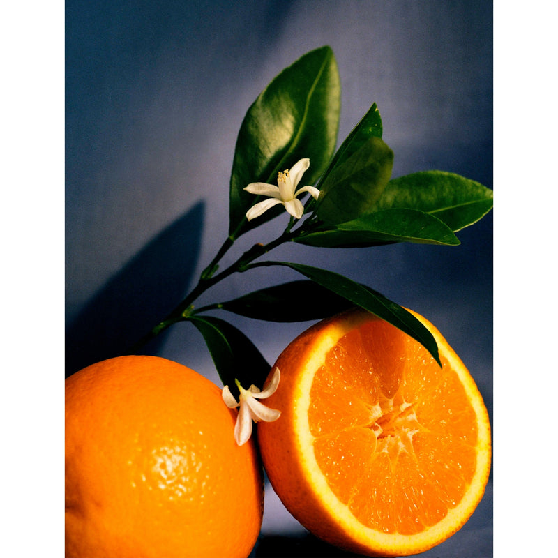 Loewe Orange Blossom home fragrance 150ml (British brand)