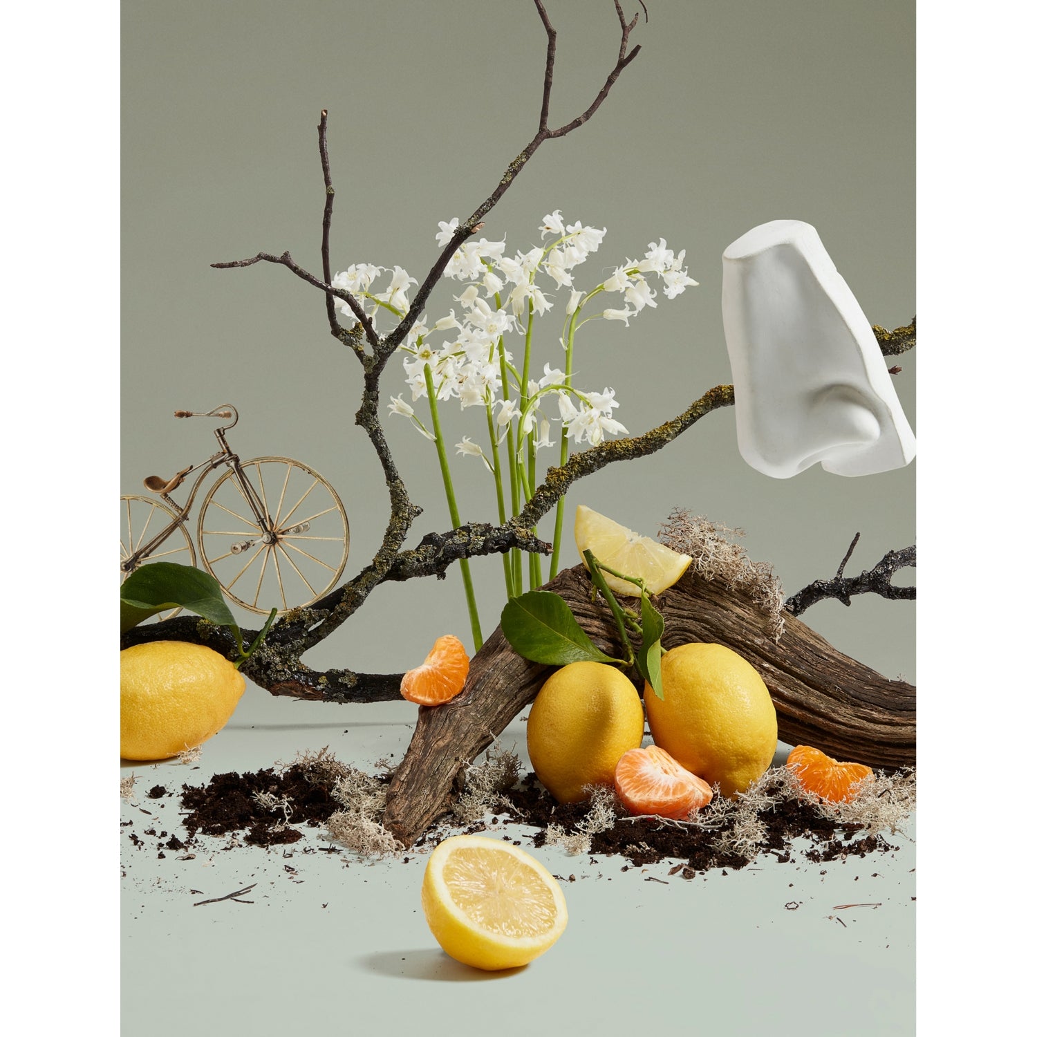 Penhaligon's Quercus body and hand lotion 500ml, imported from the UK