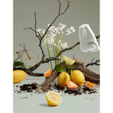 Penhaligon's Quercus body and hand lotion 500ml, imported from the UK