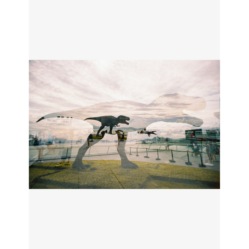 LomoApparat Neubau Edition 21mm wide-angle camera - British product