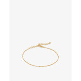 Monica Vinader 18ct yellow gold-plated vermeil sterling silver chain bracelet (British brand)