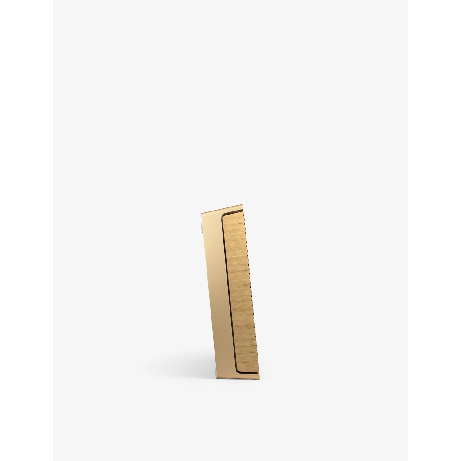 Bang & Olufsen Beosound Level portable speaker, UK version