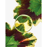 Loewe Esencia Elixir eau de parfum - British product